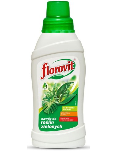 FLOROVIT NAWOZ DO ROŚLIN ZIELONYCH 1KG